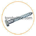 ASTM A453 Grade 660 Lag Bolt