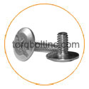 ASTM A453 Grade 660 Sidewalk Bolts