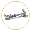 ASTM A453 Grade 660 Timber Bolt